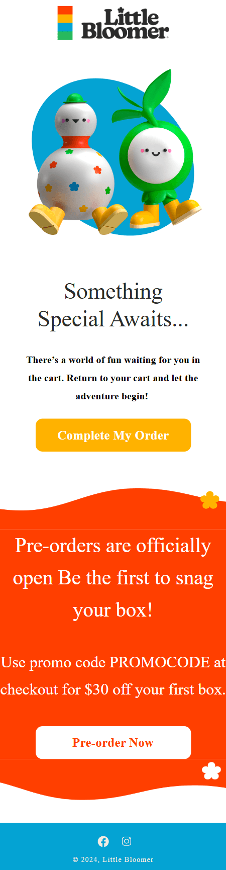 Little Bloomer cart abandonment email layout